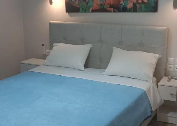 Zone Konukevi